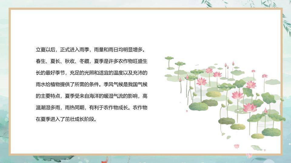 立夏节气荷塘清韵PPT模板5