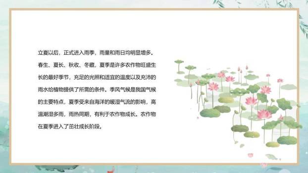 立夏节气荷塘清韵PPT模板5