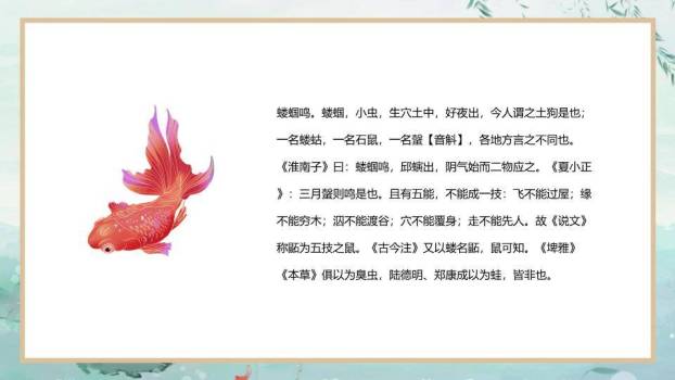 立夏节气荷塘清韵PPT模板6