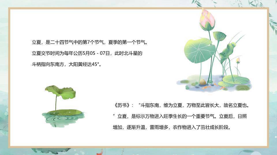 立夏节气荷塘清韵PPT模板7