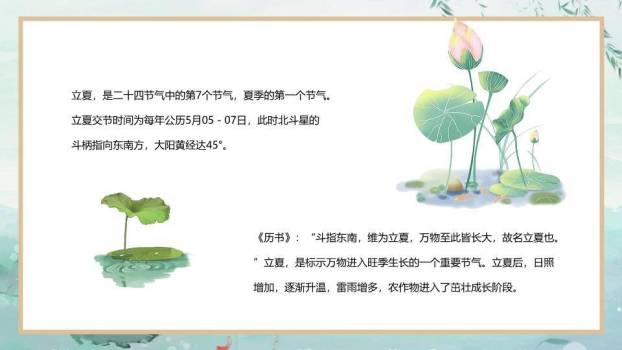立夏节气荷塘清韵PPT模板7
