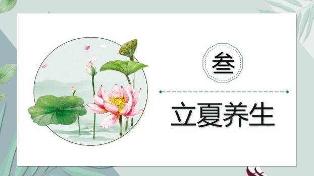 立夏节气田园少女PPT模板5