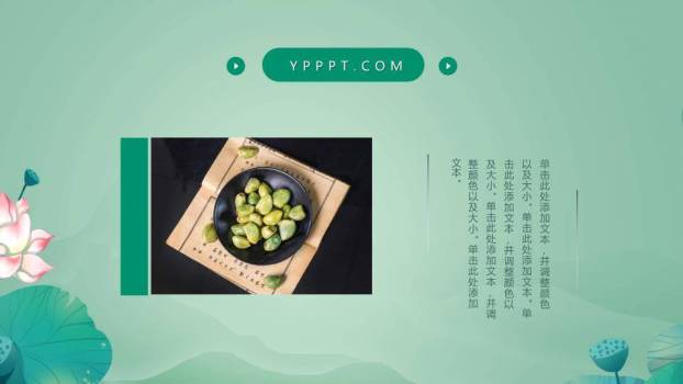 惊蛰节气青蛙荷塘PPT模板1