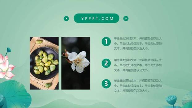 惊蛰节气青蛙荷塘PPT模板5