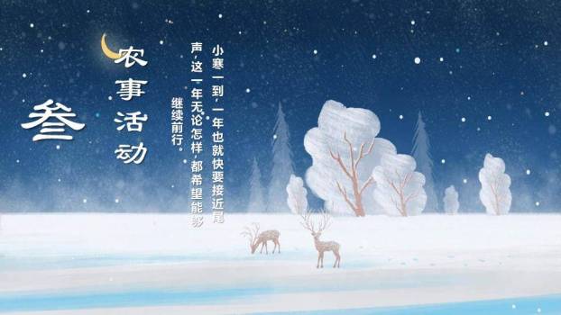 小寒节气星夜鹿影PPT模板4