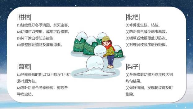 小寒节气星夜鹿影PPT模板7