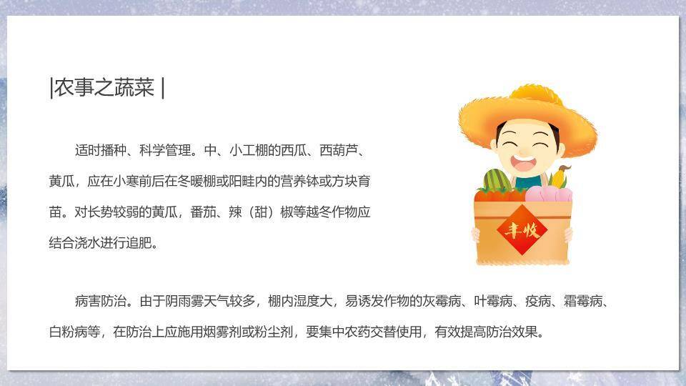 小寒节气雪境诗画PPT模板6