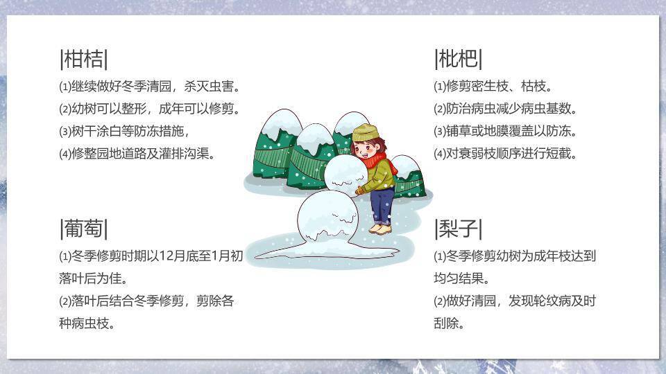 小寒节气雪境诗画PPT模板7