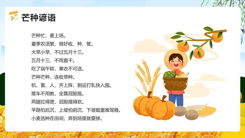 芒种节气麦浪稻草人PPT模板8