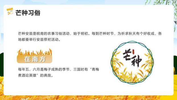 芒种节气麦浪稻草人PPT模板1