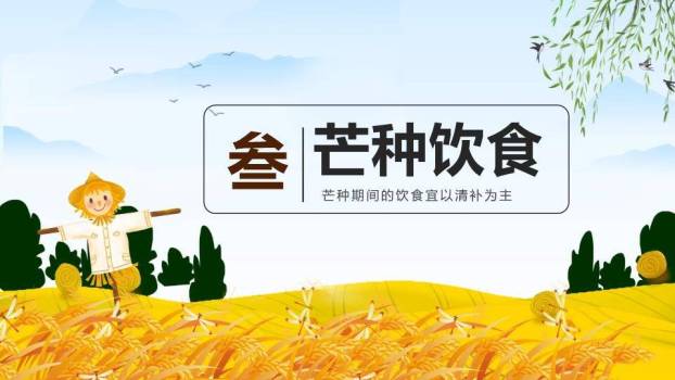芒种节气麦浪稻草人PPT模板2