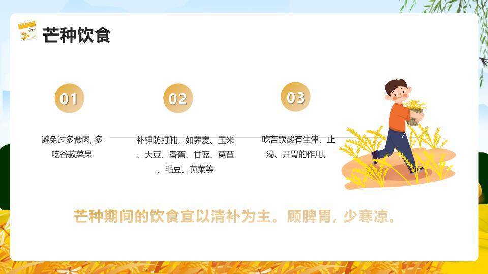 芒种节气麦浪稻草人PPT模板3