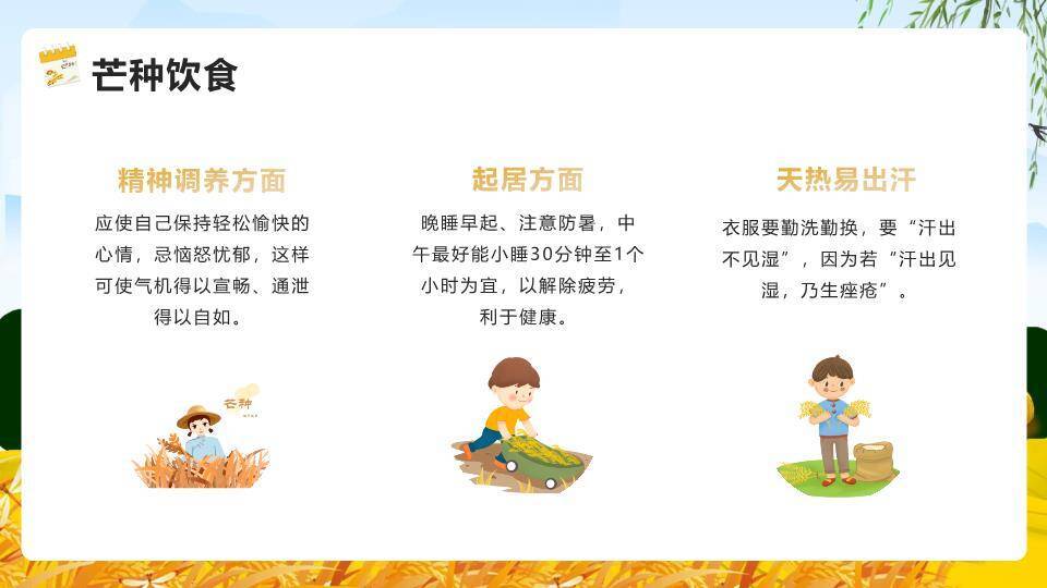 芒种节气麦浪稻草人PPT模板4