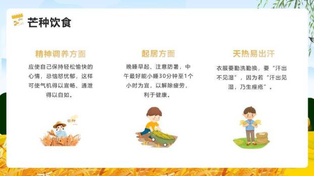 芒种节气麦浪稻草人PPT模板4