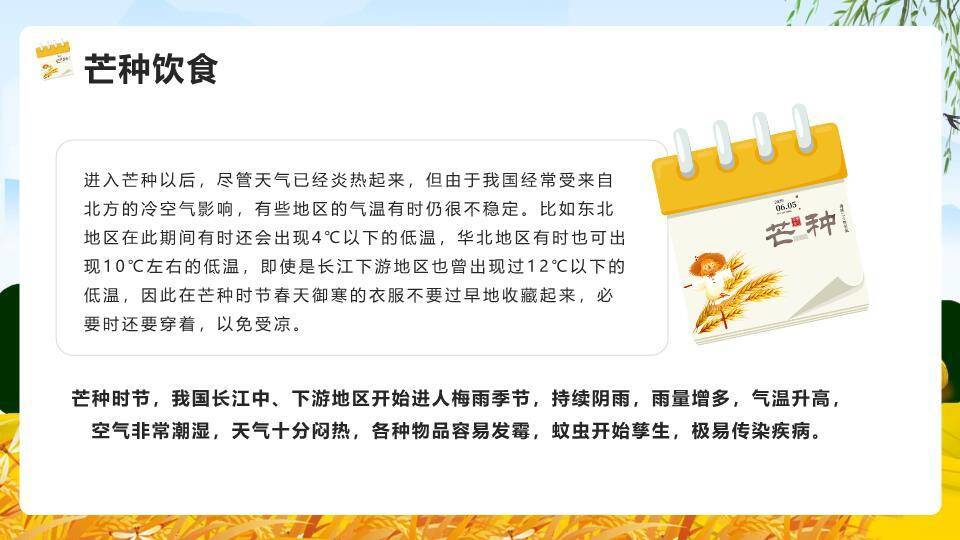 芒种节气麦浪稻草人PPT模板5