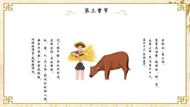 芒种节气麦穗书卷PPT模板8