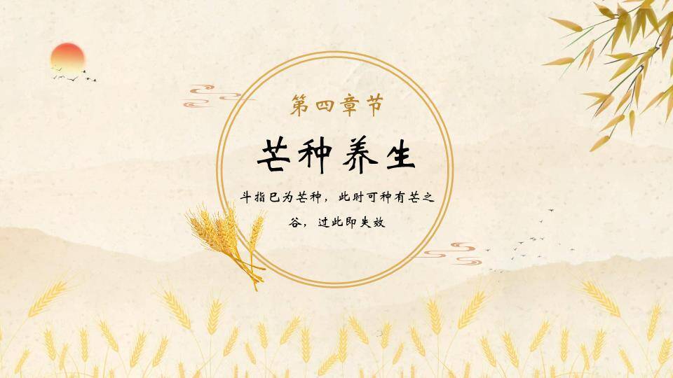 芒种节气麦穗书卷PPT模板9