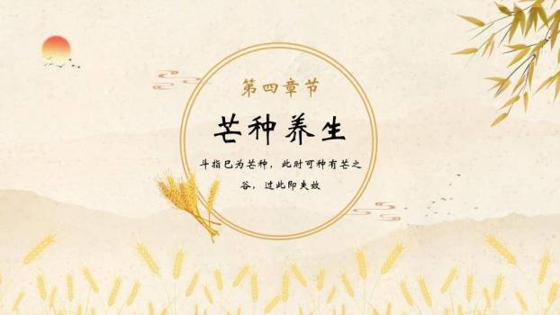 芒种节气麦穗书卷PPT模板9