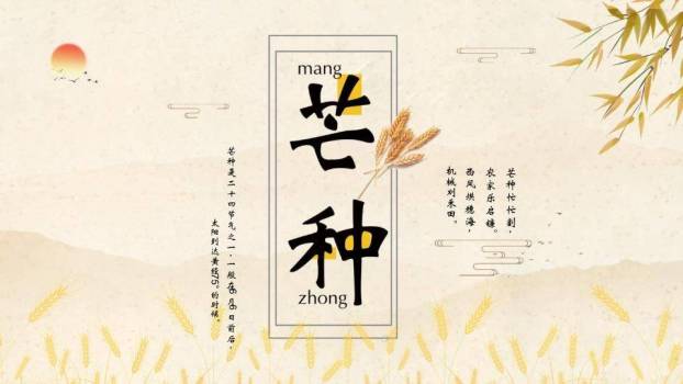 芒种节气麦穗书卷PPT模板0