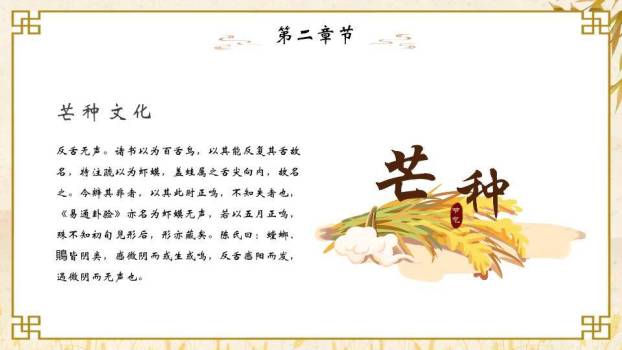 芒种节气麦穗书卷PPT模板2