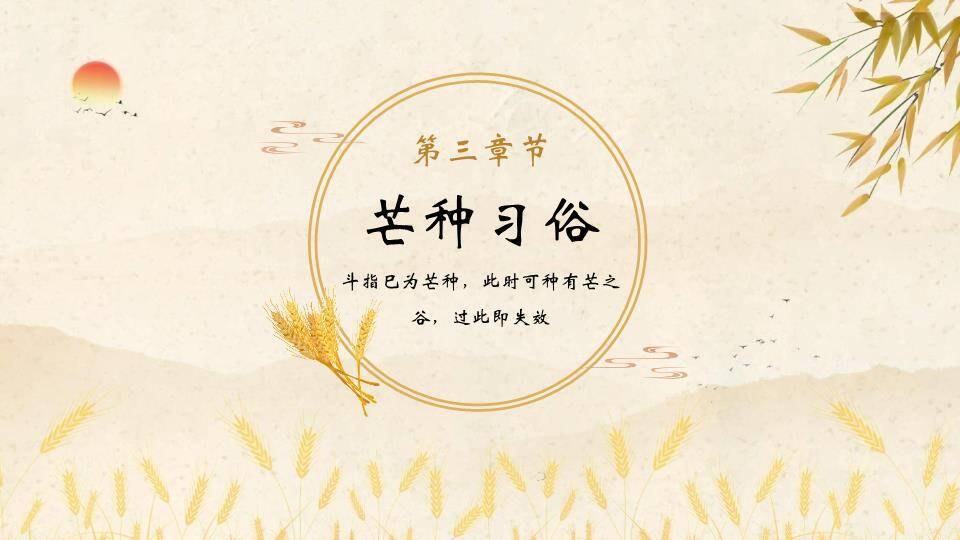芒种节气麦穗书卷PPT模板3