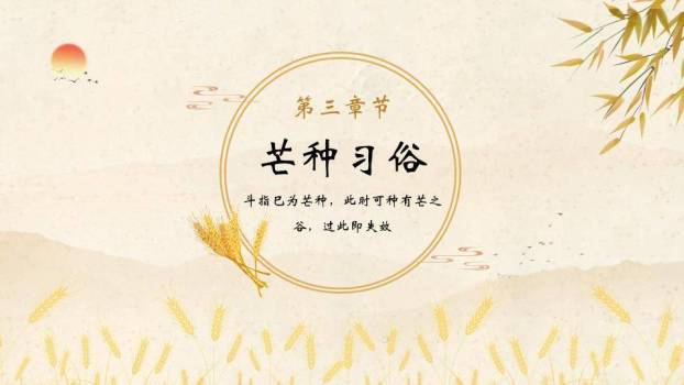 芒种节气麦穗书卷PPT模板3