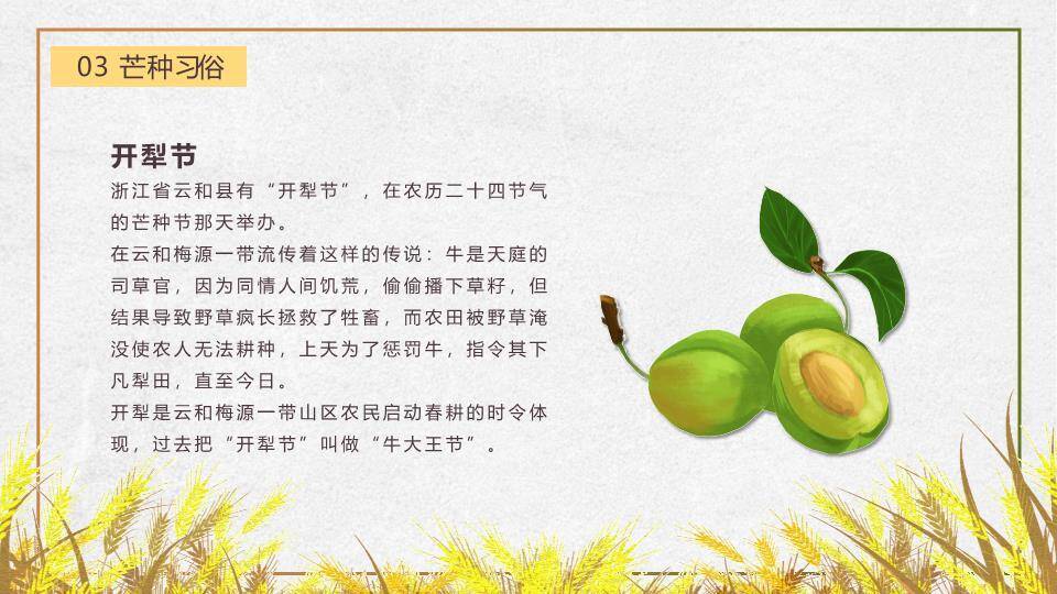 芒种节气丰收田园PPT模板8