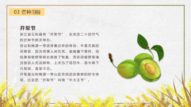 芒种节气丰收田园PPT模板8