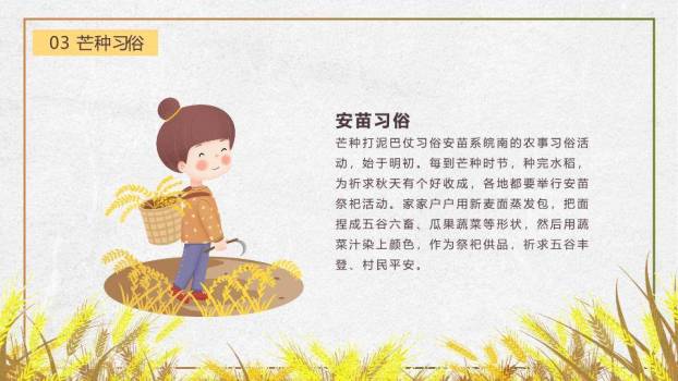 芒种节气丰收田园PPT模板9