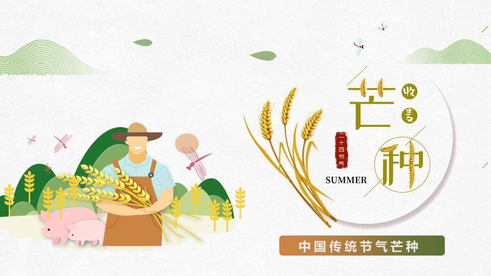 芒种节气丰收田园PPT模板0