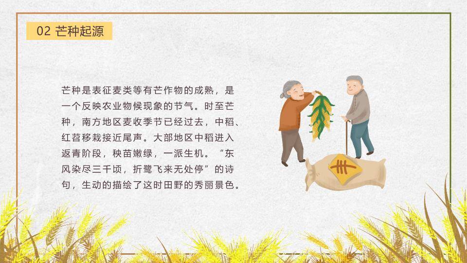 芒种节气丰收田园PPT模板3