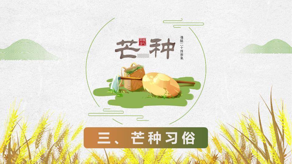 芒种节气丰收田园PPT模板4