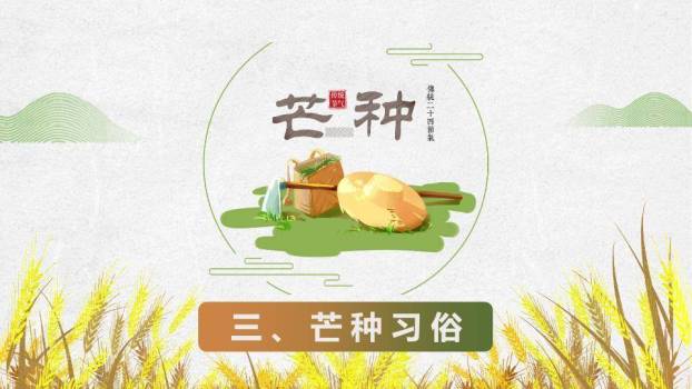 芒种节气丰收田园PPT模板4