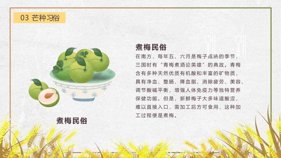 芒种节气丰收田园PPT模板5