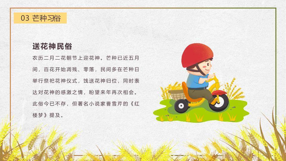 芒种节气丰收田园PPT模板6