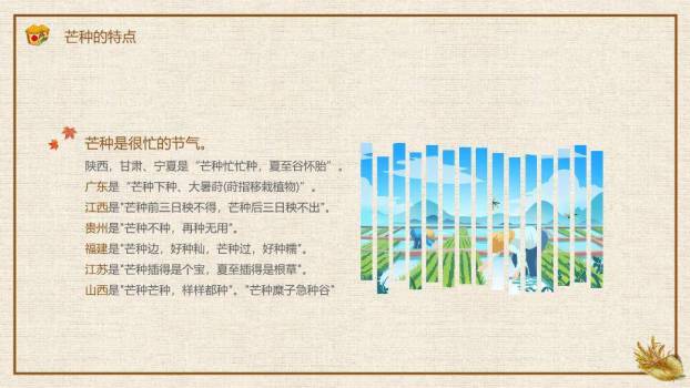芒种节气农耕收获PPT模板1