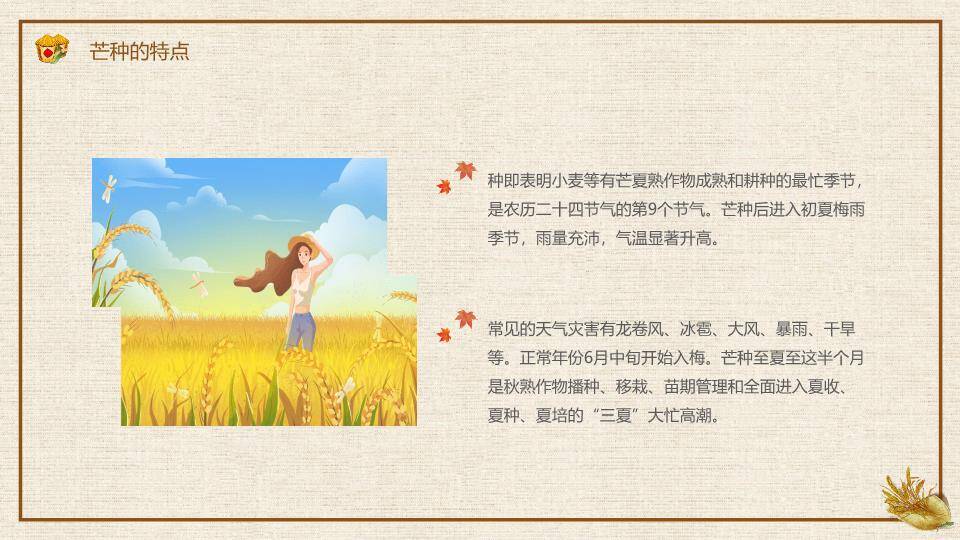芒种节气农耕收获PPT模板3