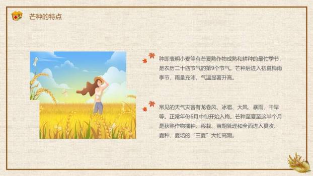 芒种节气农耕收获PPT模板3