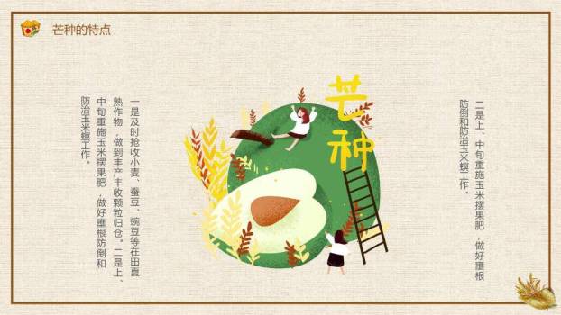 芒种节气农耕收获PPT模板4