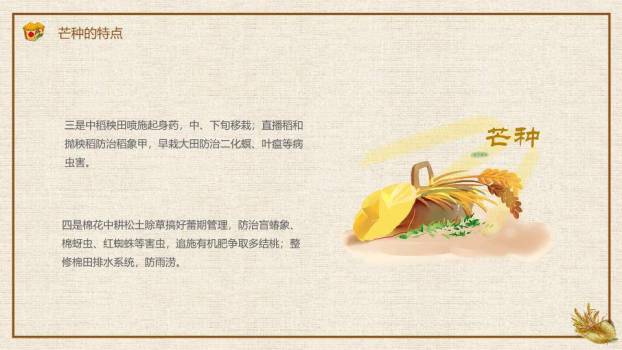 芒种节气农耕收获PPT模板5