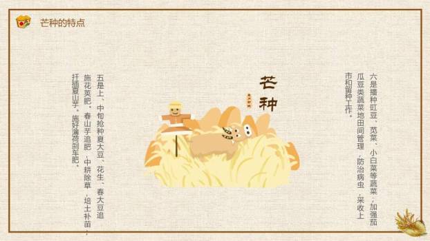 芒种节气农耕收获PPT模板6