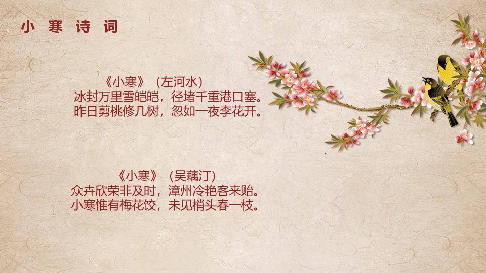 小寒节气梅雪古韵PPT模板8