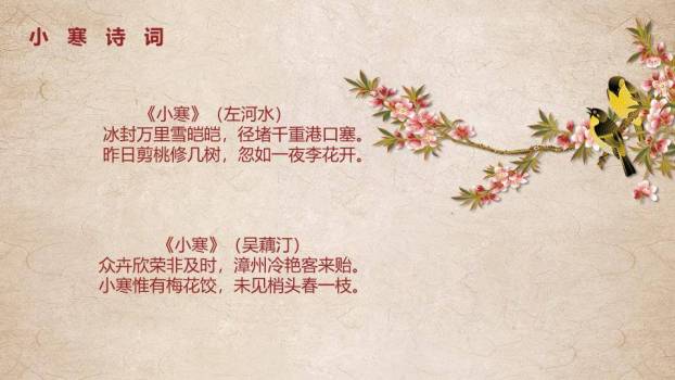 小寒节气梅雪古韵PPT模板8
