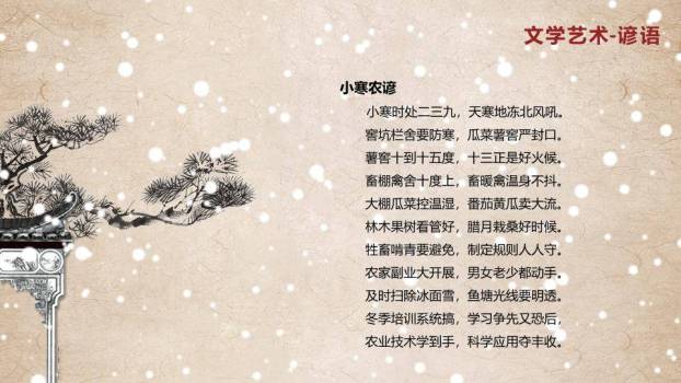小寒节气梅雪古韵PPT模板6
