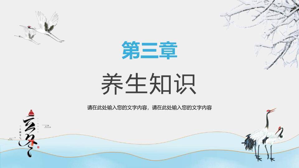 立冬节气鹤舞雪原PPT模板3