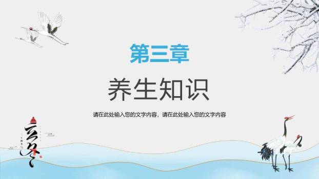 立冬节气鹤舞雪原PPT模板3