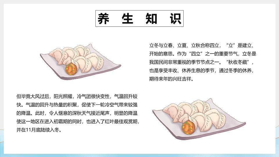 立冬节气鹤舞雪原PPT模板6