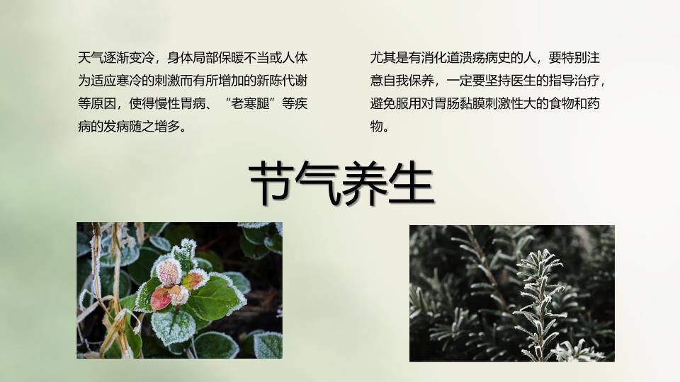 霜降节气柿子秋景PPT模板9