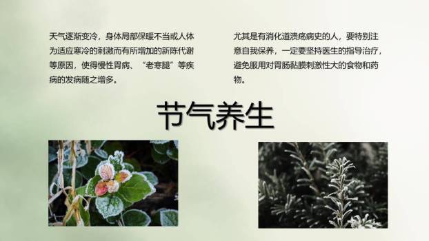 霜降节气柿子秋景PPT模板9