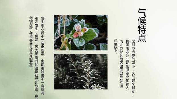 霜降节气柿子秋景PPT模板1